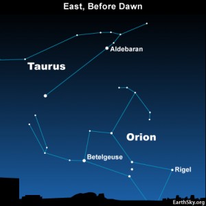 You'll find Orion in the east before dawn, in late July or early August.