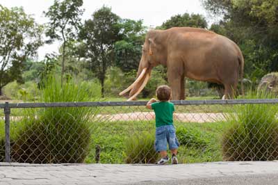 Photo credit:  University of Alabama Birmingham