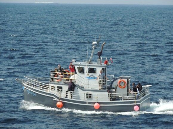 Tourist boat “Ketanya” (captain Aneas Emberley) returning from iceberg, whale, and fishing cruise. Joe Batt’s Point, August 2, 2014. Photo credit: Bonnie J. McCay