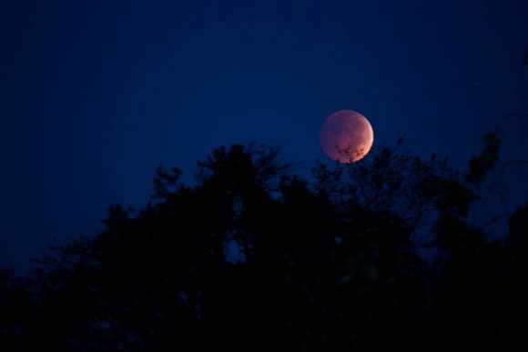 October 8 lunar eclipse as captured by Erin Mohr Bianco in Maryland.