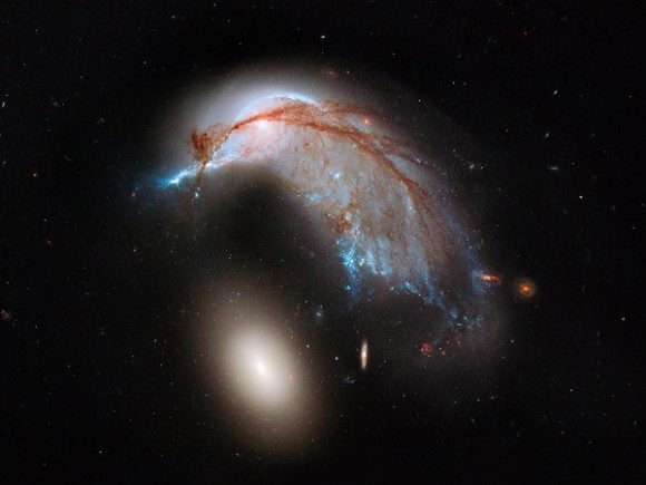 Here's a merging galaxy called Arp 142.  Do such mergers release stars into intergalactic space?  You’ve heard of rogue planets, floating through the universe untethered to any solar system. Now meet rogue stars, which drift through space with no galaxy to call home. A new study has come to the startling conclusion that as many as half of all stars in the universe may be rogue, having been ejected from their birthplaces by galaxy collisions or mergers.  Image and caption via Science