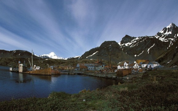 Grytvikken at South Georgia, whaling station. source: Wikimedia Commons