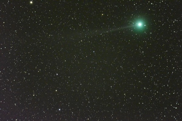 View larger. | Comet Lovejoy on December 20, 2014 by Denis Crute in Parkes, NSW, Australia.
