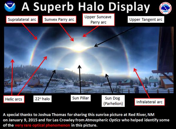 halo-display-labeled