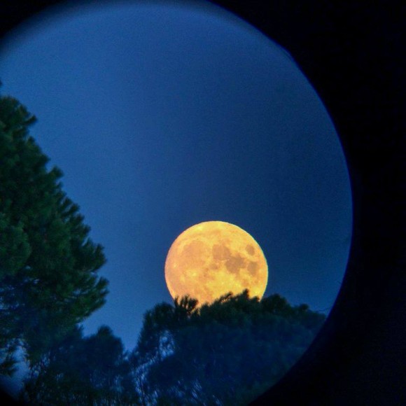 The January 4, 2015 rising full moon in Italy, via Osservatorio Astronomico Università di Siena.
