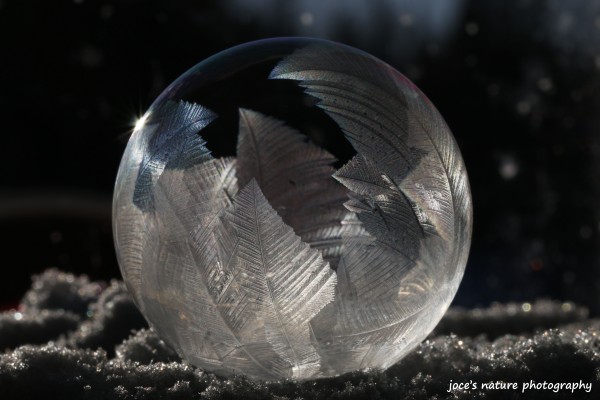 frozen bubble