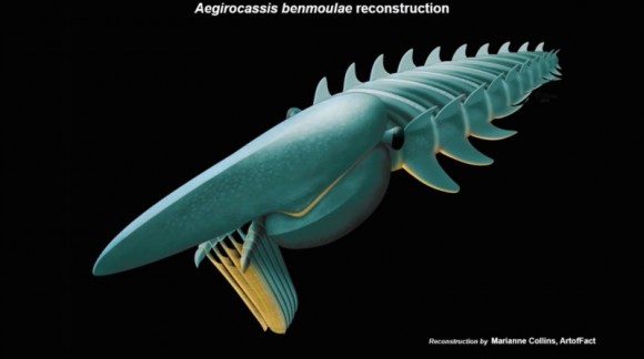 Artist's rendering of Aegirocassis benmoulae. Image credit: Marianne Collins, ArtofFact / Yale Peabody Museum of Natural History