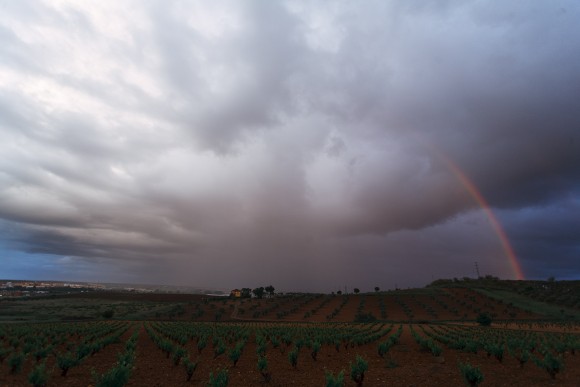 Merida, Spain. April 26, 2015. Photo:  Juan Manuel  Pérez Rayego