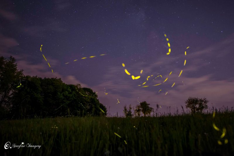 Bright curved dotted lines against dark twilight sky over grassy field.