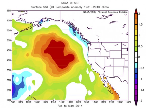 Sea surface temperature anomalies, or differences from averages, in Celsius for February-March 2014. Image credit: NOAA