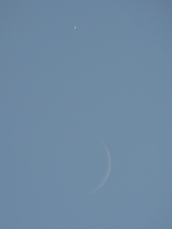 View larger. | Another view of the moon and crescent Venus on July 18, this one in daylight, from Spencer Mann in Davis, California.  