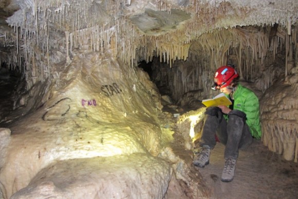 Graduate student Elena Steponaitis takes notes while collecting stalagmite and drip water samples in Lehman Caves, Nevada. Photo credit: Christine Y. Chen