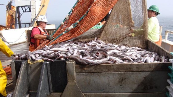 Rope trawl for midwater trawling. Photo credit: NOAA 