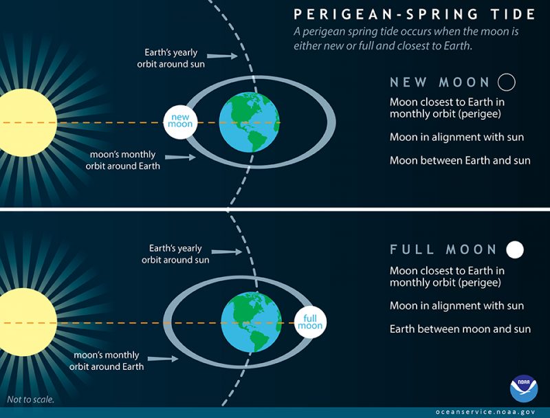 2 diagrams: the sun, moon and Earth, and their positions during new moon and full moon.