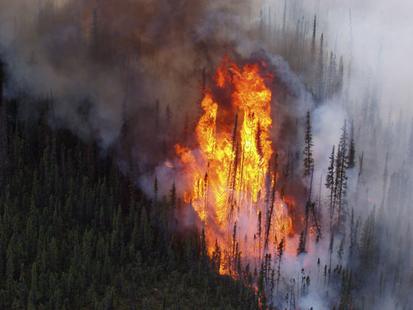 Trees engulfed in flames at the Tetlin National Wildlife Refuge in Alaska. Image Credit: U.S. Fish and Wildlife Service.