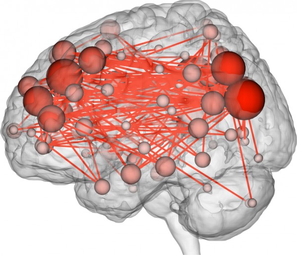 The functional connections in the brain that were most distinguishing of individuals. Many were between the prefrontal (left side of image) and parietal (right side of image) lobes. Image credit: Emily S Finn