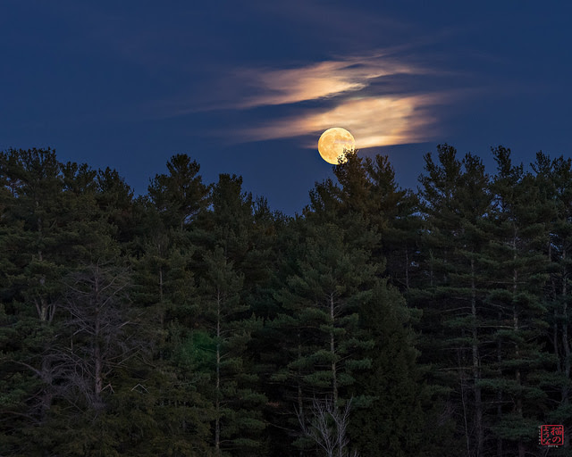 Lynne Pitts took this photo in New Hampshire on October 26, 2015.  Lynne wrote, 