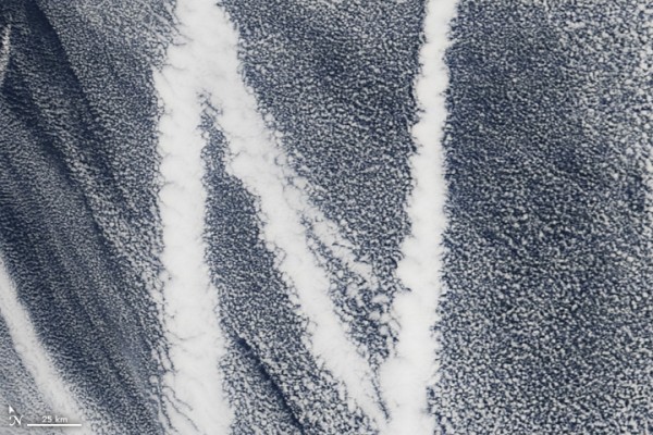 On March 4, 2009, the Moderate Resolution Imaging Spectroradiometer (MODIS) on the Terra satellite captured this image of ship tracks over the Pacific. Ship emissions contain small particles that cause the clouds to form. Image credit: NASA