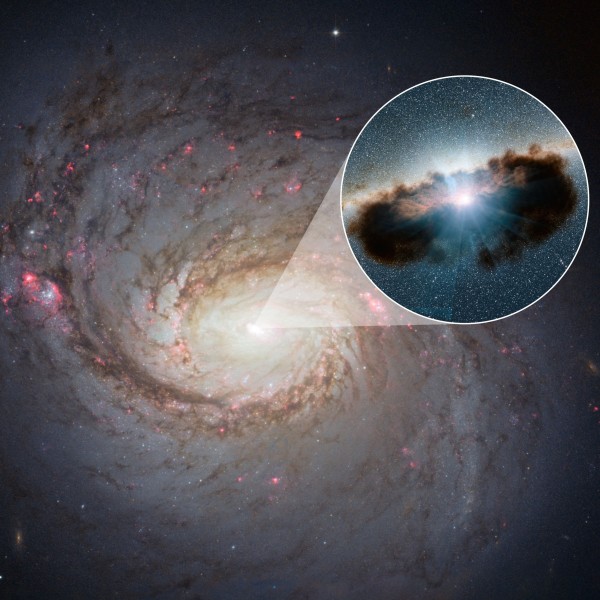 The NASA/ESA Hubble Space Telescope has captured this vivid image of spiral galaxy Messier 77 — a galaxy in the constellation of Cetus, some 45 million light-years away from us. The streaks of red and blue in the image highlight pockets of star formation along the pinwheeling arms, with dark dust lanes stretching across the galaxy’s starry centre. The galaxy belongs to a class of galaxies known as Seyfert galaxies, which have highly ionised gas surrounding an intensely active centre.