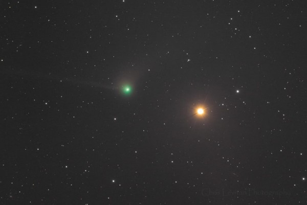 View larger. | Comet Catalina (l) near the reddish star Antares in the constellation Bootes - on the morning of New Year's Day, January 1, 2016 - by Chris Levitan Photography.