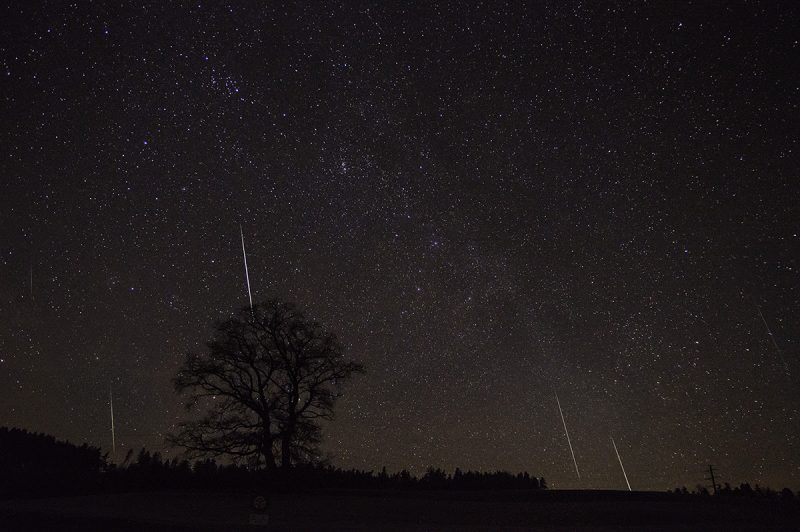 Starry sky, silhouetted bare tree, 4 white streaks coming down.