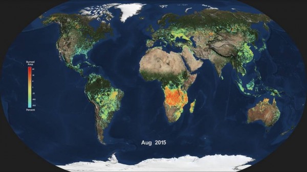 Shown here is the monthly average of global burned area for August 2015, produced from data from the Moderate Resolution Imaging Spectroradiometer (MODIS) aboard NASA’s Aqua satellite. Light blue indicates a small percentage of burned area, while red and orange indicate high percentages of burned area. Image credit: NASA