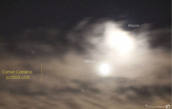 View larger. | Tom Wildoner had to over-expose the moon and Venus to catch Comet Catalina nearby.  Visit Tom's blog at LeisurelyScientist.com