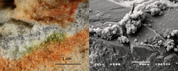 Section of rock colonised by cryptoendolithic microorganisms and the Cryomyces fungi in quartz crystals under an electron microscope.  Image credit: S. Onofri et al.