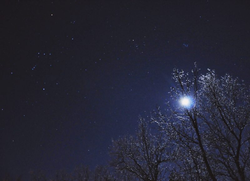 Stars so bright: Bare trees glittering under a starry sky, the moon visible through the twigs.