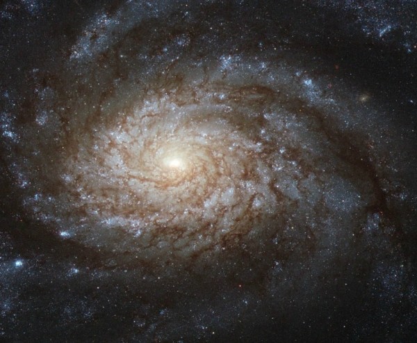 Can a galaxy (like NGC 3810 in this case) have a classical spiral structure and also be already dead? Image credit: ESA/Hubble and NASA, CC BY