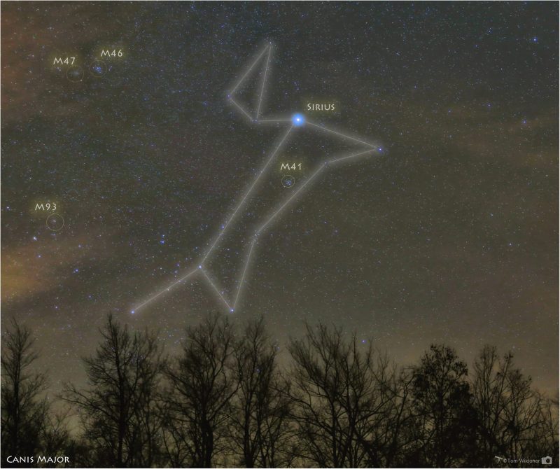 Photo of the night sky with lines of constellation drawn in and M41 highlighted.