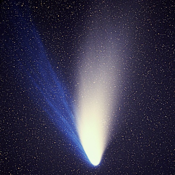 A bright round-wedge-shaped comet with multiple flared tails.