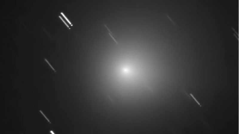 Comet C/2013 X1 (PanSTARRS) captured on June 7, 2016 by Efrain Morales of the Sociedad de Astronomia del Caribe 