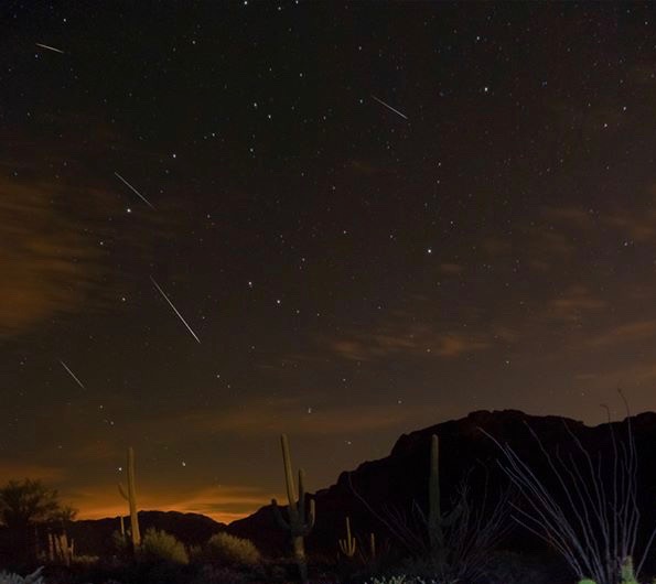  Varios senderos de meteoros sobre un paisaje desértico con cactus altos.