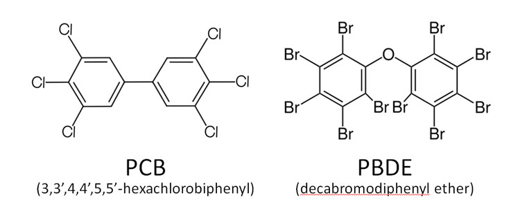 Example chemical structures of a PCB and PBDE compound. Image Credit: D.E. Conners, EarthSky (structures via Wikimedia Commons).