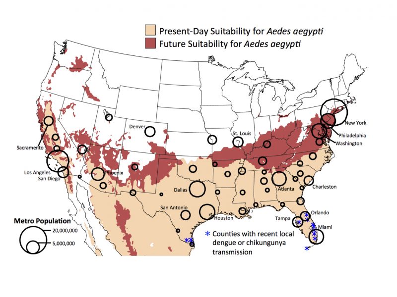 Map shows the range of the Aedes aegypti mosquito for present-day (1950-2000) and future (2061-2080; RCP8.5) conditions. Larger cities have higher potential for travel-related virus introduction and local virus transmission. Image via Andrew Monaghan