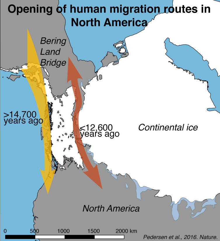 Map outlining the opening of the human migration routes in North America revealed by the results presented in this study. Image via Mikkel Winther Pedersen