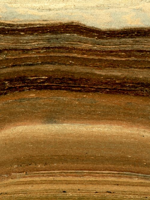 Laminated lake sediments, younger layers deposited on top of older layers, containing molecular and fossil evidence revealing the succession of plants and animals in the ice-free corridor. Image via Mikkel Winther Pedersen