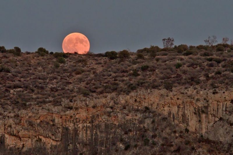 Shine on, Harvest Moon! | Earth | EarthSky