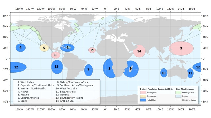 2016 Humpback distinct population segments (NOAA)