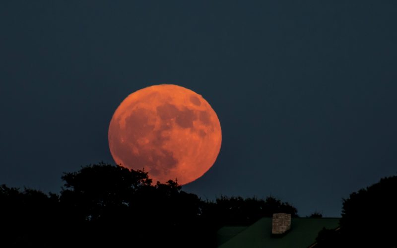 Karen Tarlow in Austin, Texas wrote: