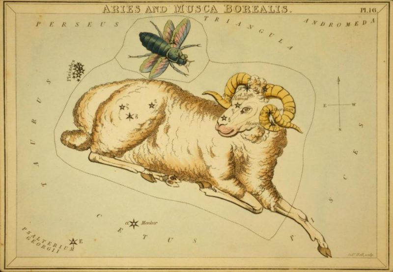 Antique etching of ram with star chart superimposed.