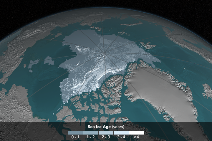 Arctic sea ice in 2016. Image via NASA
