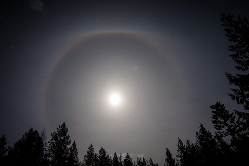Bright moon with halo over fir trees, and part of oval halo beside it.