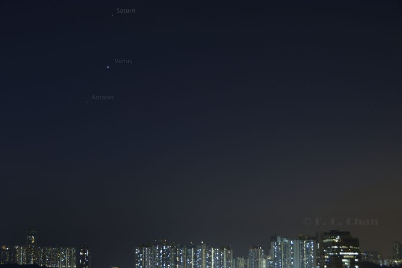 Kai Cheong Chan caught Saturn, Venus and the star Antares after sunset on October 27, 216.