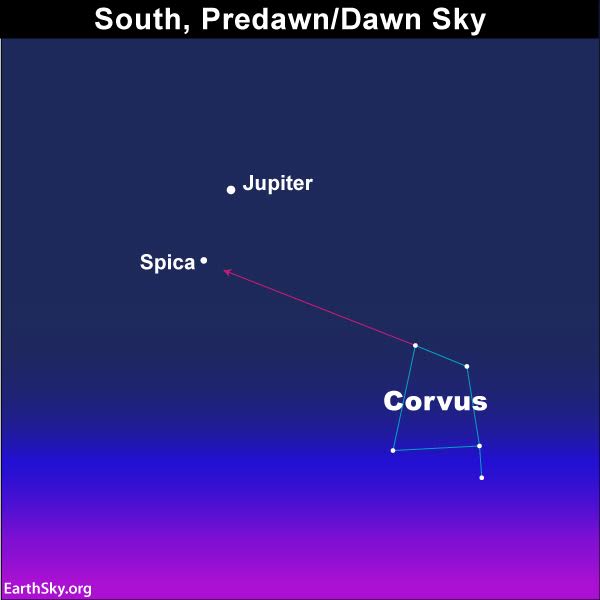 On these December 2016 mornings, the dazzling planet Jupiter and the star Spica are close to one another on the sky's dome.