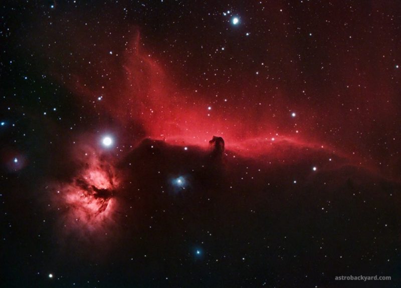 Horsehead Nebula by Trevor Jones of the website AstroBackyard.