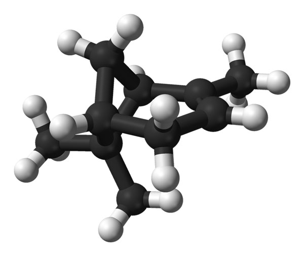 Ball-and-stick model of the alpha pinene molecule in black and white.