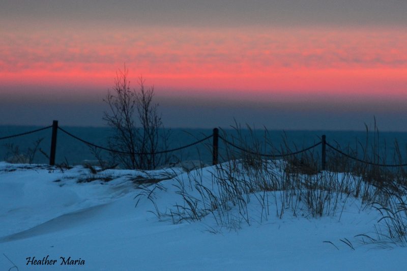 Snow on dunes with tall, sparse grass in foreground, ocean, pink strip of sunrise.