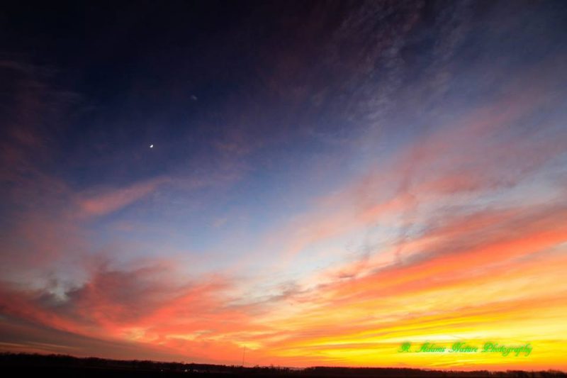 Vivid yellow and orange streaks in sky with blue sky above and single bright planet.